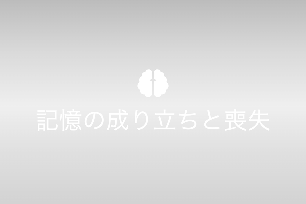 前後不覚の世界：記憶の成り立ちと喪失の不思議